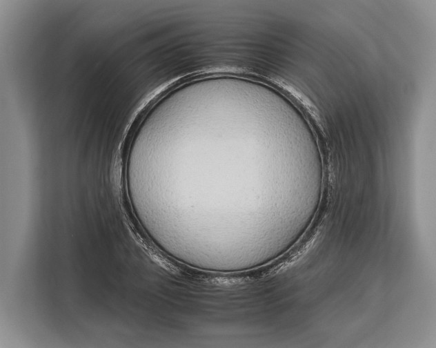 X0000113040933200909171518
