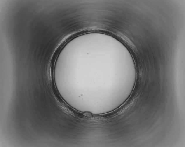X0000113040934200909171518