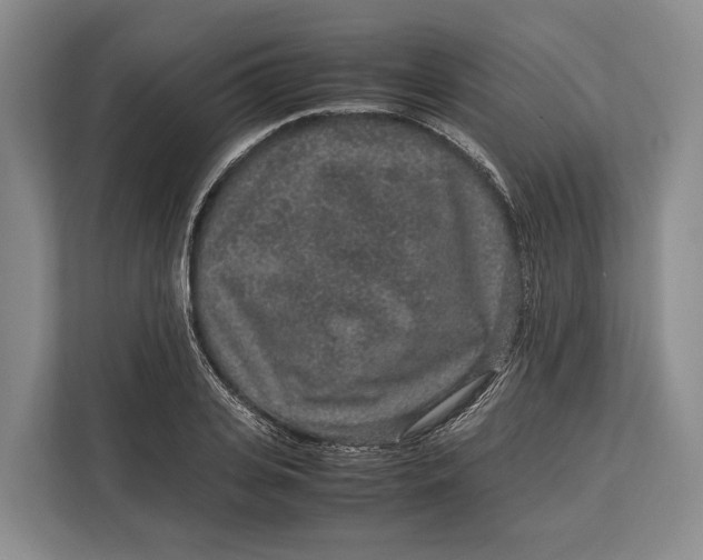 X0000113040935200909171518