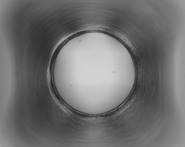 X0000113040936200909171518