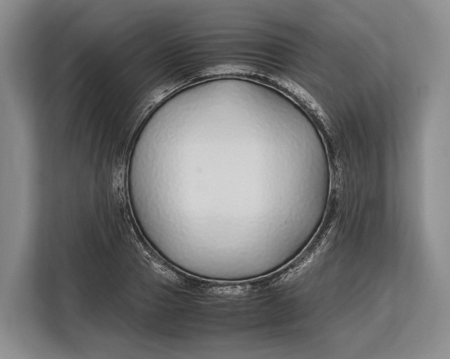 X0000113040937200909171518