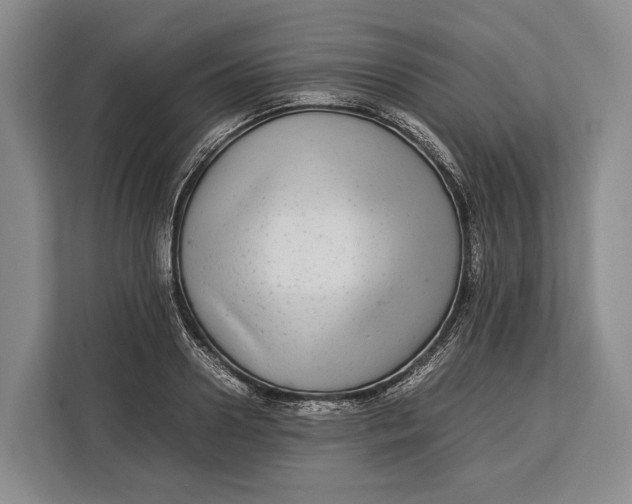 X0000113040938200909171518