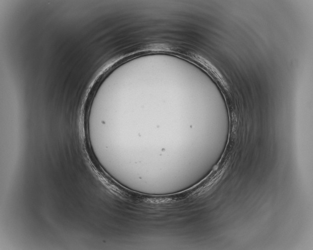X0000113040939200909171518