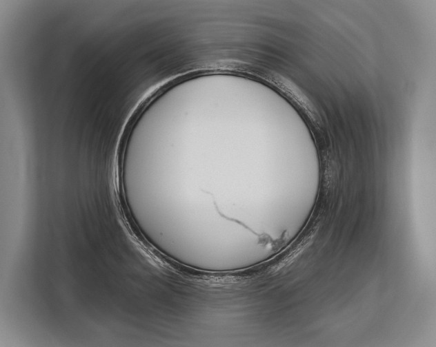 X0000113040940200909171518