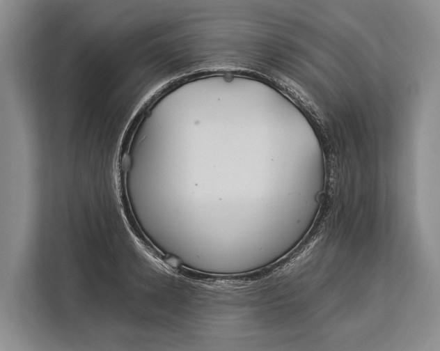 X0000113040942200909171518