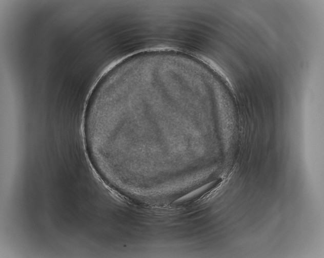 X0000113040943200909171518