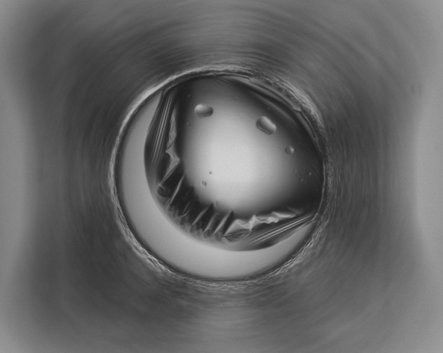 X0000113040944200909171518