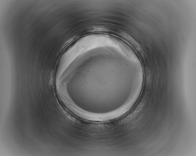 X0000113040945200909171518