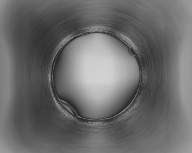 X0000113040946200909171518