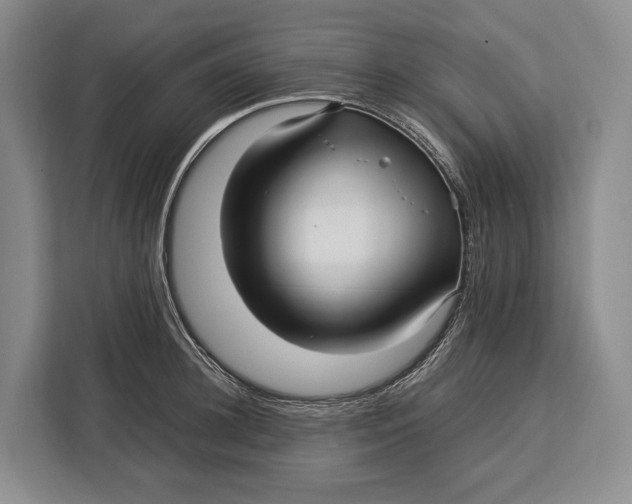 X0000113040948200909171518