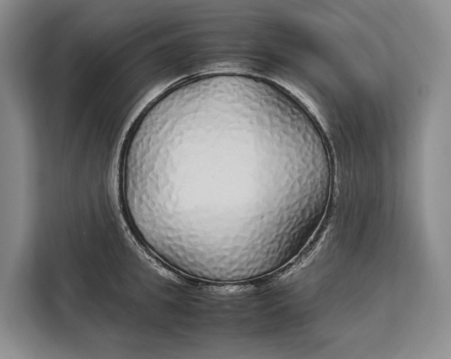 X0000113040949200909171518