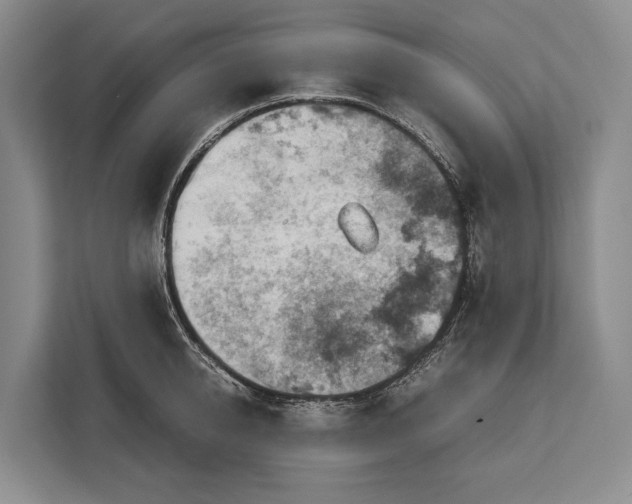 X0000113040950200909171518