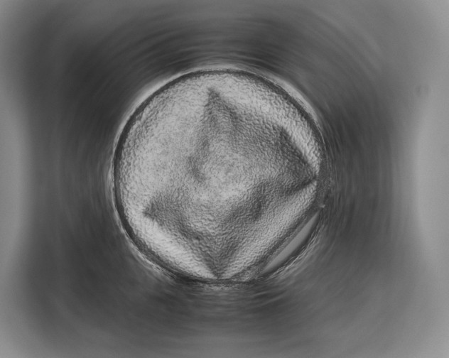 X0000113040951200909171518