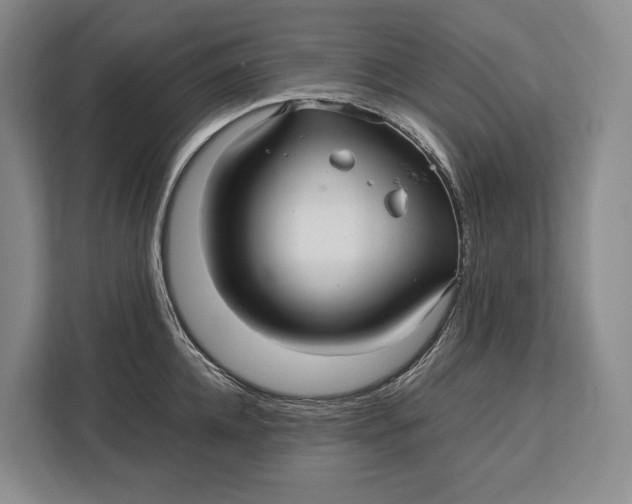 X0000113040952200909171518