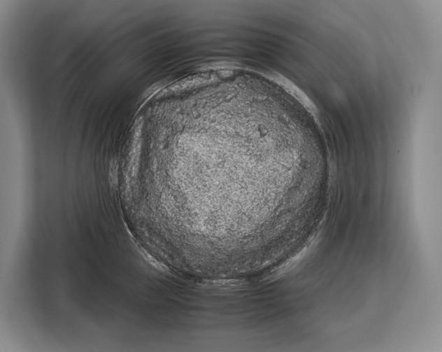 X0000113040953200909171518