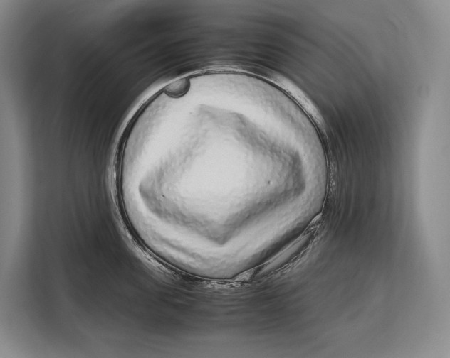 X0000113040955200909171518