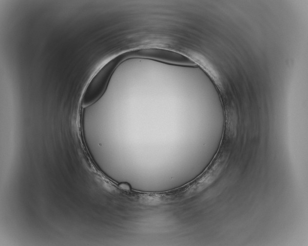 X0000113040956200909171518