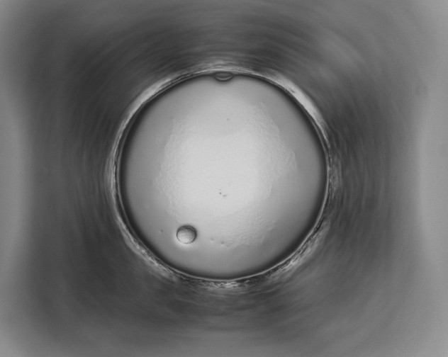 X0000113040957200909171518