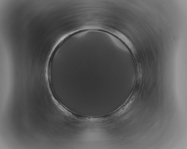 X0000113040958200909171518