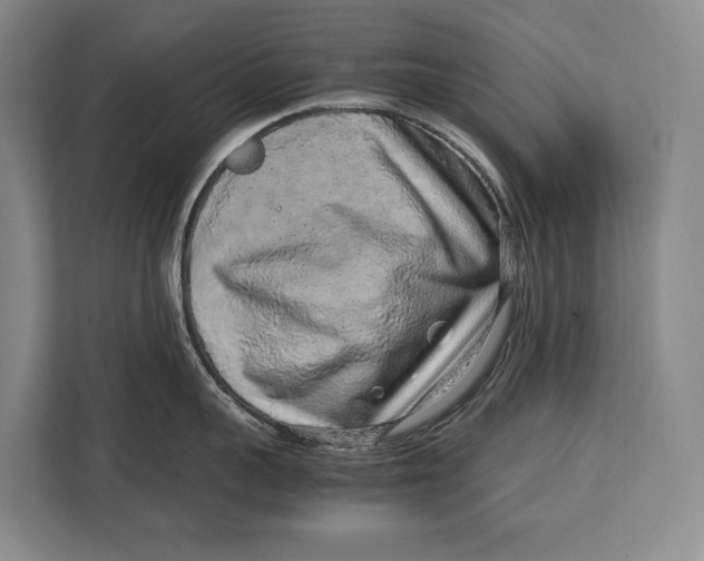X0000113040959200909171518