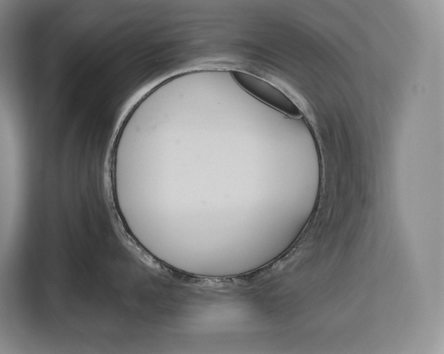 X0000113040960200909171518