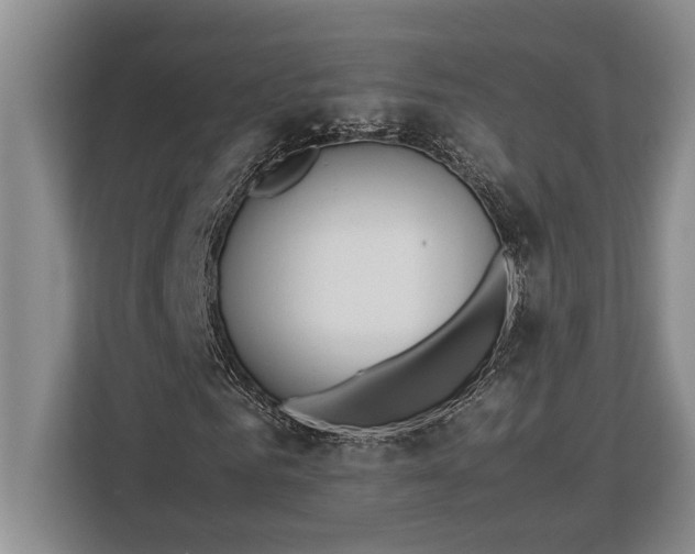 X0000113040961200909171518