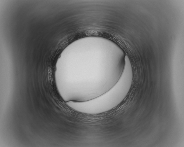 X0000113040964200909171518