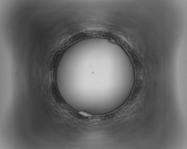 X0000113040965200909171518