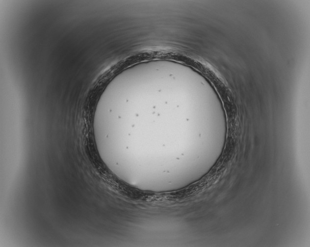X0000113040967200909171518