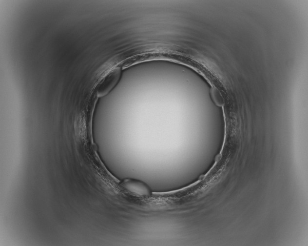 X0000113040969200909171518
