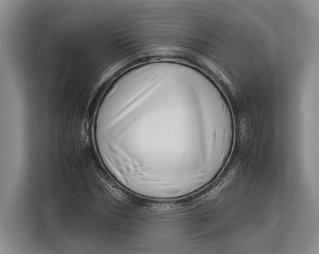 X0000113040970200909171518