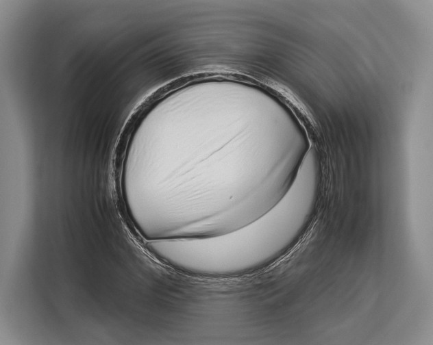 X0000113040972200909171518