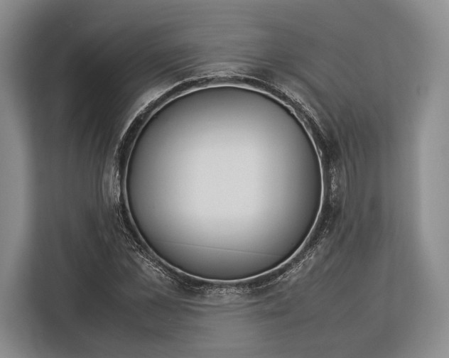 X0000113040973200909171517
