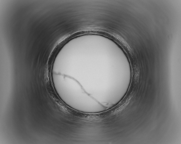 X0000113040974200909171517