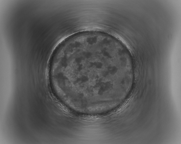 X0000113040975200909171517