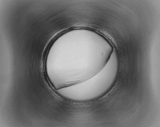 X0000113040976200909171517