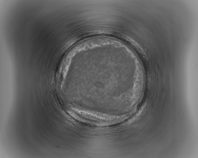 X0000113040977200909171517