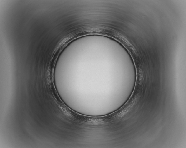 X0000113040978200909171517
