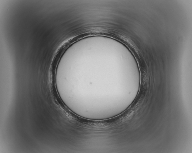 X0000113040979200909171517