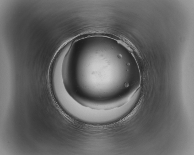 X0000113040981200909171517