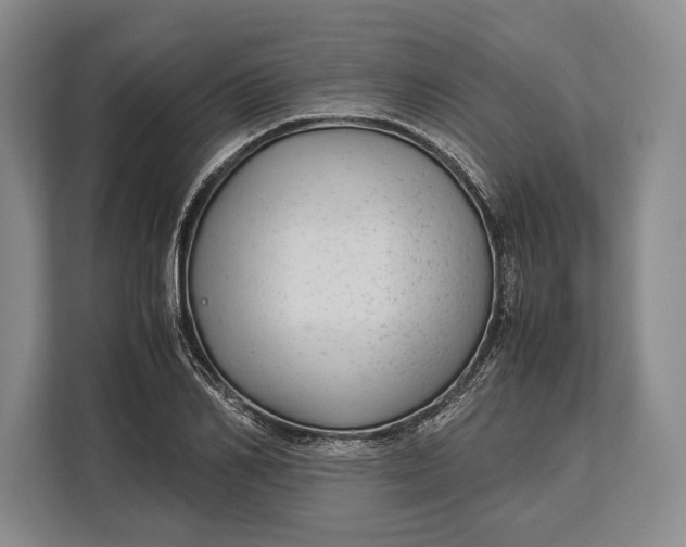 X0000113040982200909171517