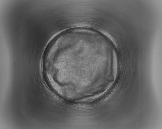 X0000113040983200909171517