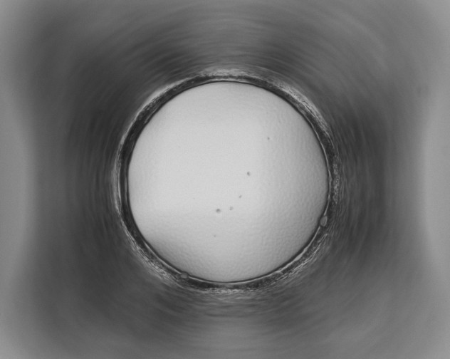 X0000113040984200909171517