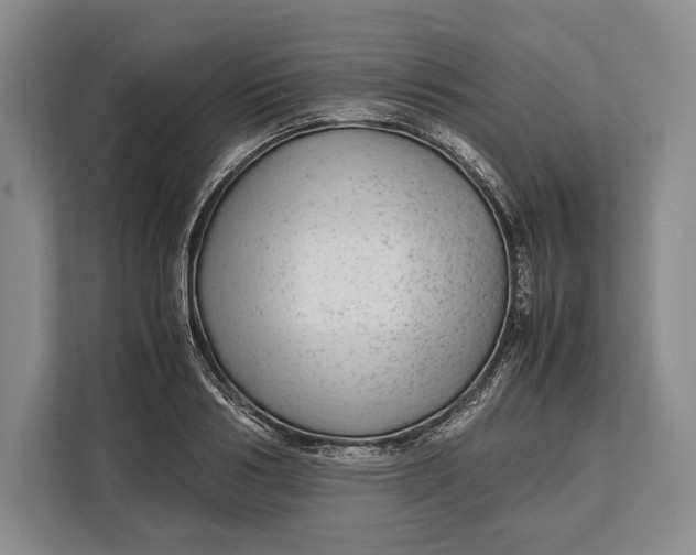 X0000113040986200909171517