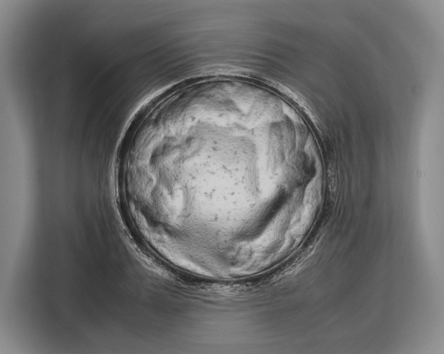 X0000113040987200909171517