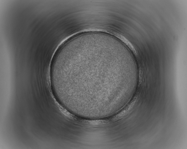 X0000113040988200909171517