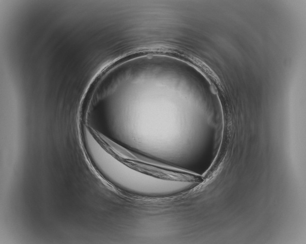 X0000113040989200909171517