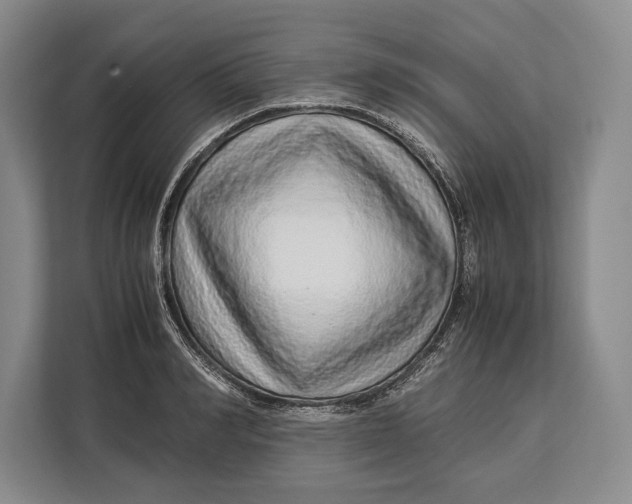 X0000113040990200909171517