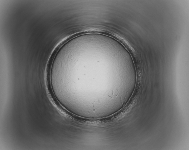 X0000113040991200909171517