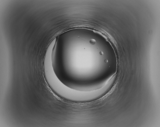 X0000113040993200909171517